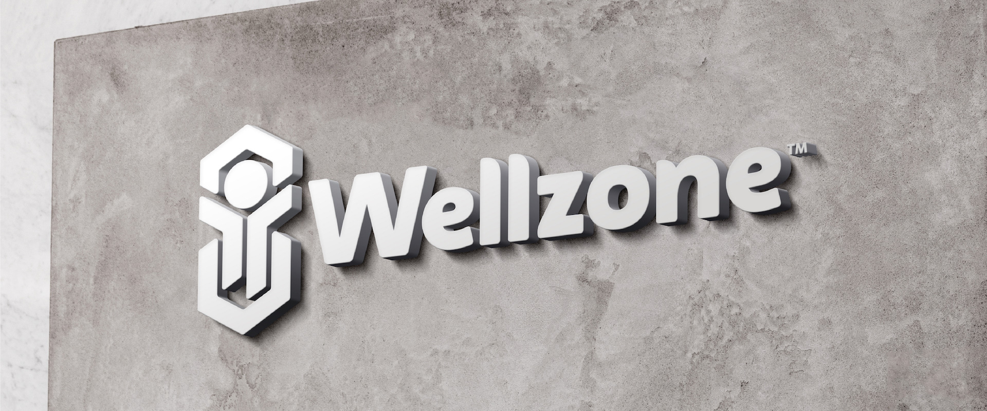 Wellzone - KONSEPTIZ Advertising Agency in Turkey